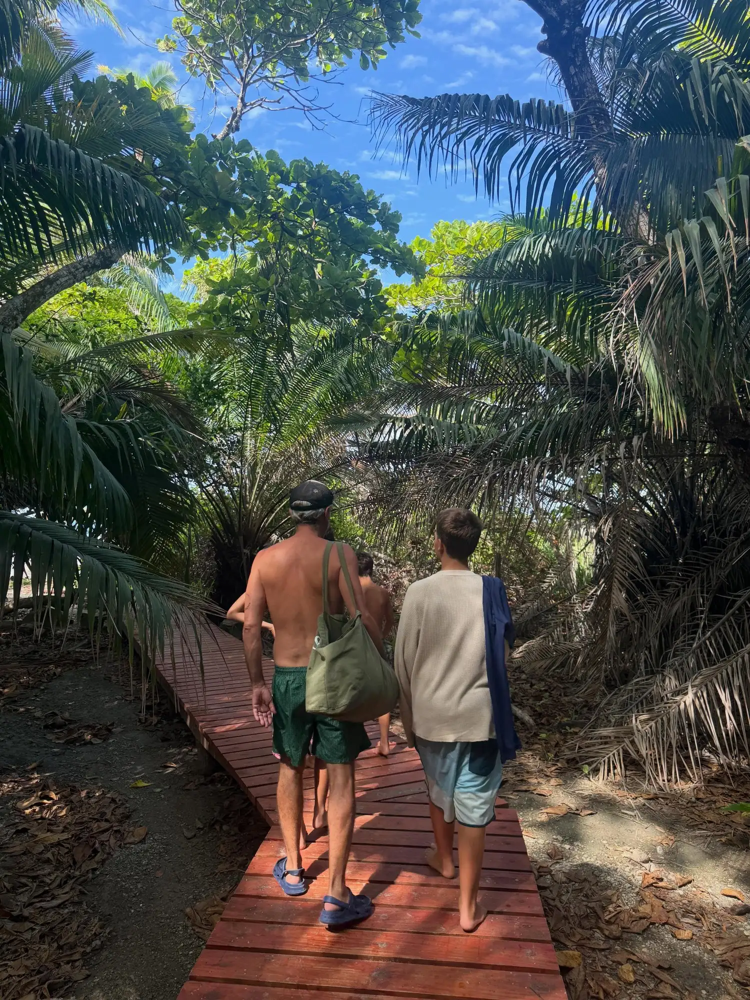 Wooden jungle path leading to the beach in Santa Teresa